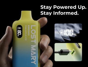 Lost Mary BM6000 Disposable pod battery and charging